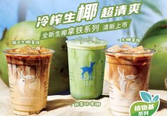新手加盟瑞幸咖啡注意事项，2024年开咖啡店须知!