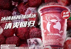 瑞幸咖啡店加盟项目全年无淡季盈利新形